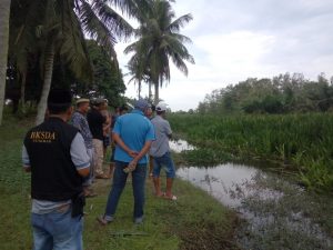 Kemunculan Buaya Empat Meter Resahkan Warga Labuhan, BKSDA Pasang Pengaman