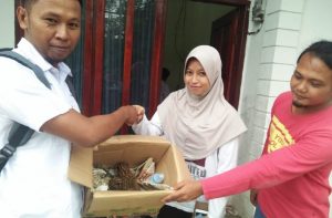 Masyarakat Agam Dukung Pelestarian Ekosistem Hutan, 25 Satwa Dilindungi Diserahkan ke BKSDA
