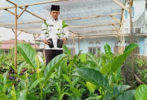 Pemkab Agam Targetkan Menjadi Sentral Perkebunan dan Pertanian Pada 2025