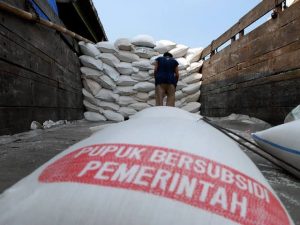Tahun 2019, Agam Peroleh 16 Ton Pupuk Bersubsidi