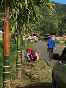 Perindah Jalan Utama, Pemerintah Kecamatan IV Koto Tanam Pucuk Merah
