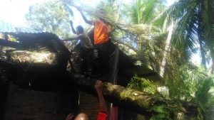 Rumah Warga Tiku Utara Ditimpa Pohon, Dinsos Agam Berikan Bantuan