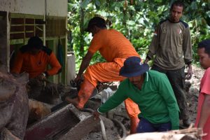 Lima Unit Rumah Terdampak Bencana di Sungai Rangeh, Pembersihan Mulai Dilakukan