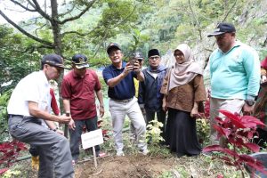“Ratu Kamang” Manggis Terbaik di Indonesia