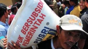 Berkurang, Alokasi Pupuk Bersubsidi Kabupaten Agam Tahun Ini 14.604 Ton