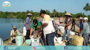 Jalan Amblas Karena Abrasi, Masyarakat Ujuang Labuang Pasang Tanggul Darurat
