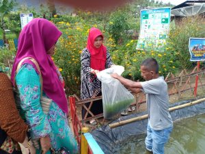 Bupati Agam Bantu Beragam Jenis Bibit Untuk Kelompok Dasawisma Kamboja I