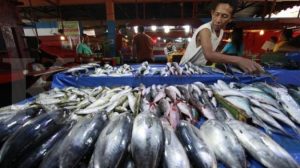 Cuaca Buruk, Harga Ikan Laut Melambung di Agam