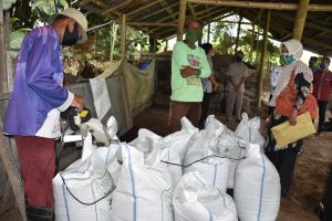 Penuhi Kebutuhan Petani Agam, Rumah Kompos S2 Taluak Mampu Produksi 28 Ton Pupuk Organik