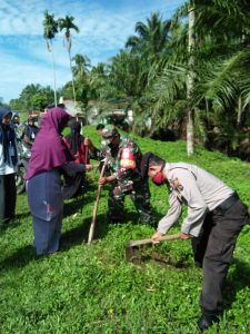 Ampek Nagari Intensifkan Penyisipan Pohon Pelindung Sepanjang Jalur Lintas Sumatera