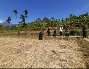 P3A Baruah Jambak Dapat Rp195 Juta Bangun Jaringan Irigasi
