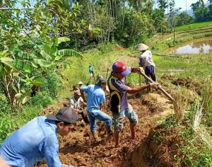 Masyarakat Tigo Koto Silungkang Buka Jalan Usaha Tani Secara Swadaya