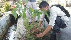 Rangkaian HUT Perpindahan Ibu Kota Agam- AMC Tanam Pohon Pelindung