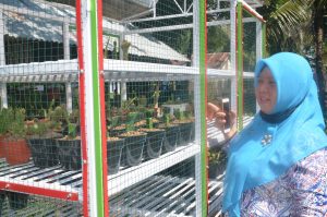 Distan Agam Bina 2 KTW di Tanjung Mutiara Kembangkan Kaktus Hias