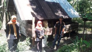 BUMNag Lumbuang Pintar Kembangkan Peternakan Sapi Gerakkan Ekonomi Masyarakat