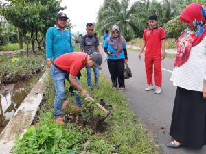 350 Batang Mahoni dan Sirsak Ditanam di Pinggir Jalan Lubuk Basung