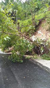 Tertimbun Longsor, Ruas Jalan Ujuang Labuah-Simaruok Putus Total