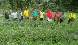 Keltan Toboh Organik Malalak Timur Panen Perdana Bawang Putih