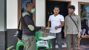 Pengelola Wisata di Lubuk Basung Serahkan Satwa Dilindungi ke BKSDA