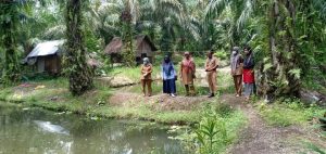 Terima DAK Budidaya Ikan 2020, Tiga Pokdakan di Manggopoh Dikunjungi DKP Sumbar