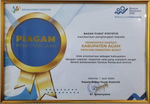Pemkab Agam Terima Penghargaan dari BPS RI