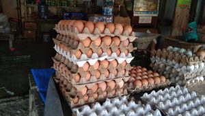 Pasokan Mulai Meningkat, Harga Telur di Lubuk Basung Berangsur Turun