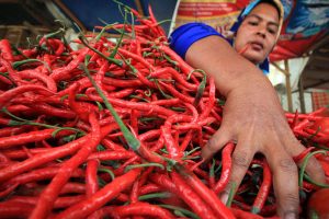 Pasokan Melimpah, Harga Cabai Merah di Pasar Tradisional Agam Turun
