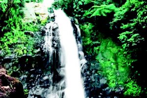 Kawasan Wisata Alam Bisa Majukan Ekonomi Masyarakat Lokal