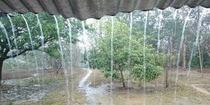 Curah Hujan Tinggi, BPBD Agam Imbau Masyarakat Tingkatkan Kewaspadaan
