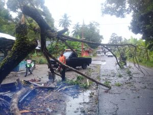 Hujan Badai, Pohon Bertumbangan di Manggopoh