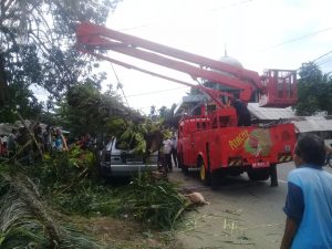 Isuzu Panther Ditimpa Pohon di Simpang IV Tapi