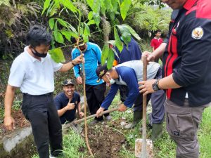 Pemerintah Kecamatan se-Agam Tanam Mahoni Secara Serentak
