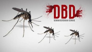 Kasus DBD Turun Drastis di Agam