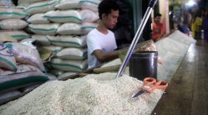 Tahun 2020 Agam Surplus Beras 120.000 Ton