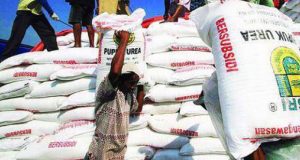 Agam Peroleh 15.535 Ton Pupuk Bersubsidi di 2021