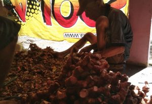 Budidaya Lengkuas di Pekarangan, Petani di Lubuk Basung Raup Jutaan