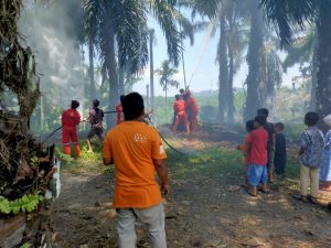 Musim Kemarau, Kebakaran Lahan Kembali Terjadi di Agam