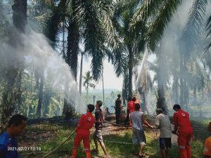 Kebakaran Lahan di Tapian Kandih Agam, Ini Kronologisnya