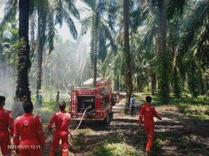 Kebakaran Lahan Berhasil Dikendalikan, 1 Hektar Kebun Sawit Hangus