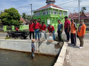 Pemnag Lubuk Basung Kembali Tebar 6.000 Bibit Ikan di Lubuk Larangan