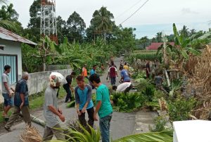 Bahayakan Pengguna Jalan Warga Bandar Baru Tebang Puluhan Pohon Pinang