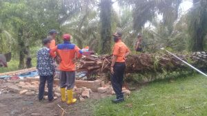 Ditimpa Pohon, Rumah Dismen di Durian Bungkuak Rusak Berat