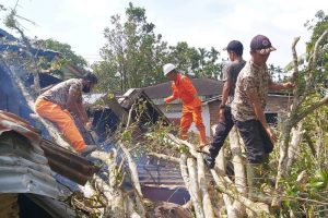 Ditimpa Pohon Tumbang, Dua Rumah di Sungai Tampang Rusak