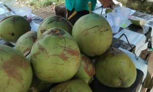 Pedagang Kelapa Muda di Lubuk Basung Raup Berkah Ramadan
