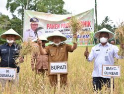 Panen Padi Organik di Keltan Sawah Bangsa, Bupati Agam : Perlu Dikembangkan di Keltan Lain