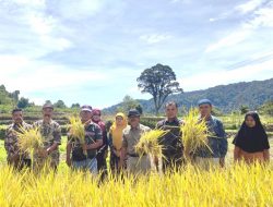 Kembangkan Pertanian Organik Solusi Cerdas Hadapi Keterbatasan Pupuk Kimia Bersubsidi