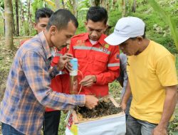 Madu Galo-Galo KTH Batu Gajah Sepakat, Penikmatnya Ada dari Mancanegara