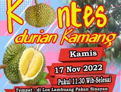 Nagari Kamang Tangah Anam Suku Bakal Gelar Kontes Durian Kamang