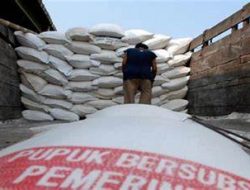 Kuota Pupuk Bersubsidi di Agam Naik, Tahun ini 21.228 Ton