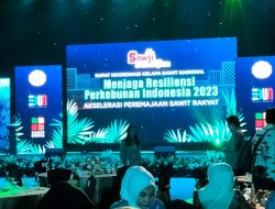 Agam Usulkan 500 Hektare Peremajaan Kelapa Sawit Tahun Ini